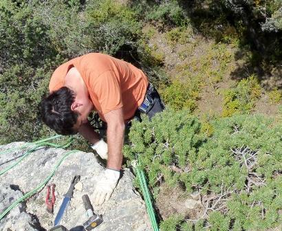 prélèvements de yamadori