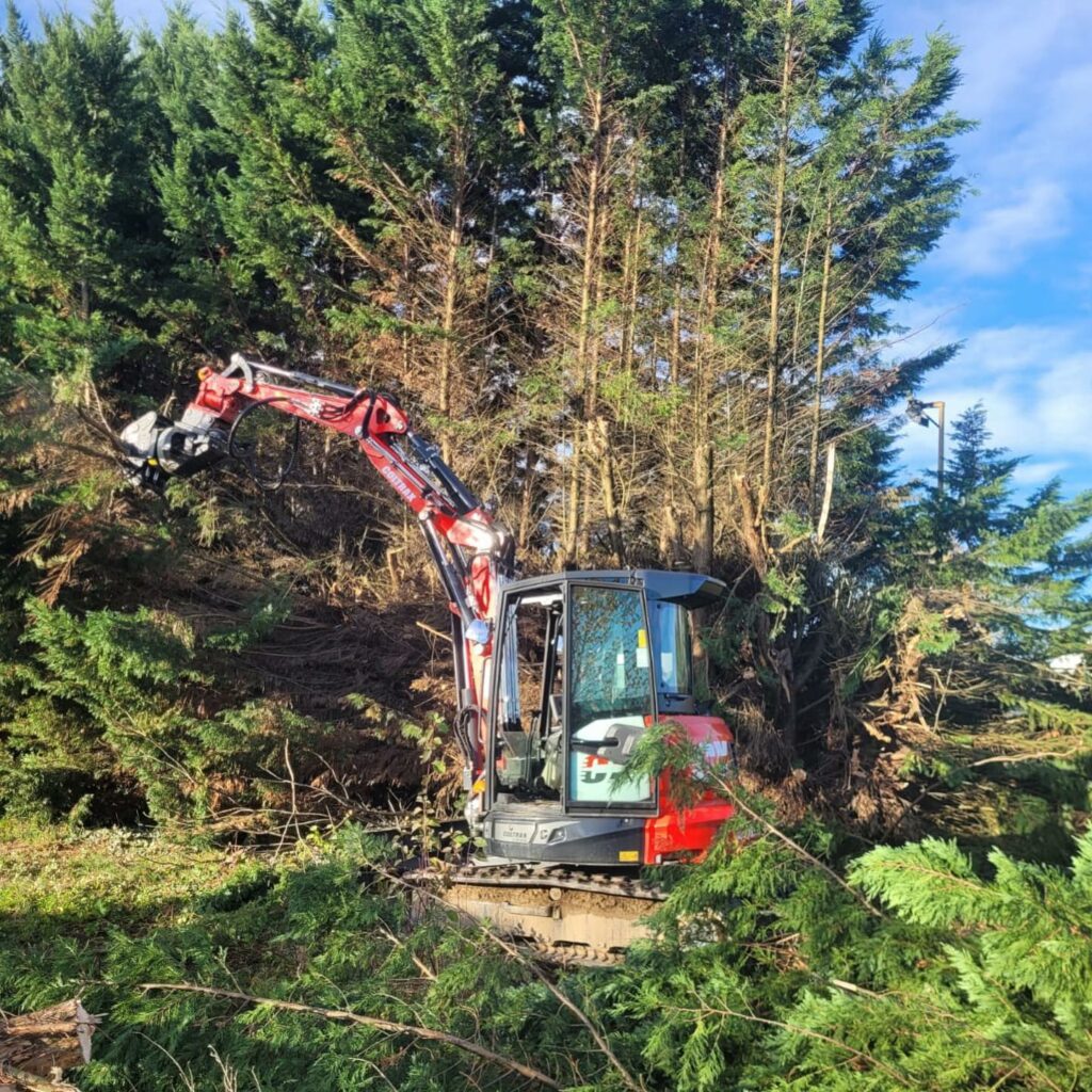 travaux d'élagage pour particuliers, abattage d'arbre, taille d'arbres