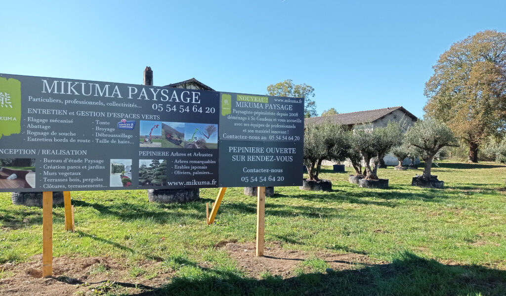 Pépinière Mikuma Paysage - Oliviers naturels, oliviers nuage, oliviers plateau, chênes-lièges, grenadiers, pins à crochets